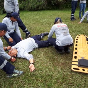 Atencion Prevencion Emergencias 2