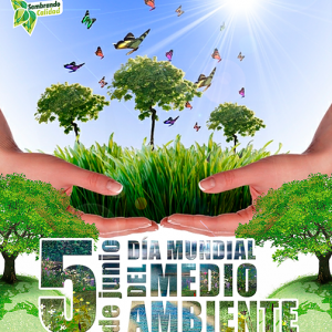 Campanas Gestion Ambiental 40 Galery 2