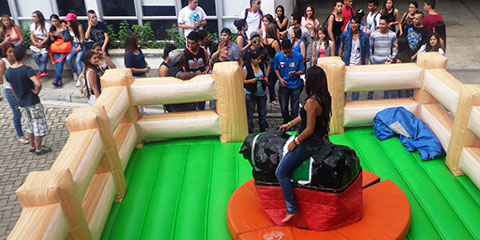 Jornadas y fiestas universitarias 2014-2