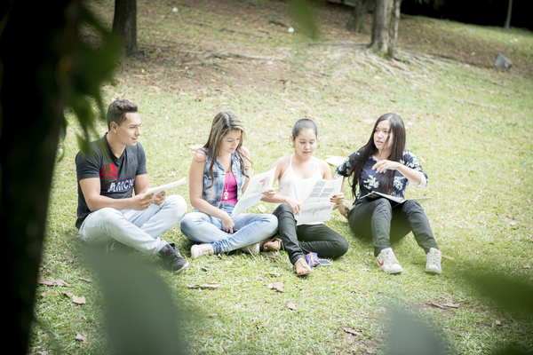 Ciencias Sociales y Educación