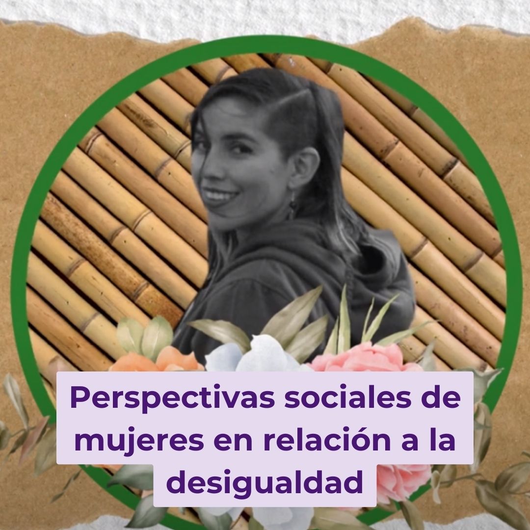 Perspectivas sociales de mujeres en relación a la desigualdad