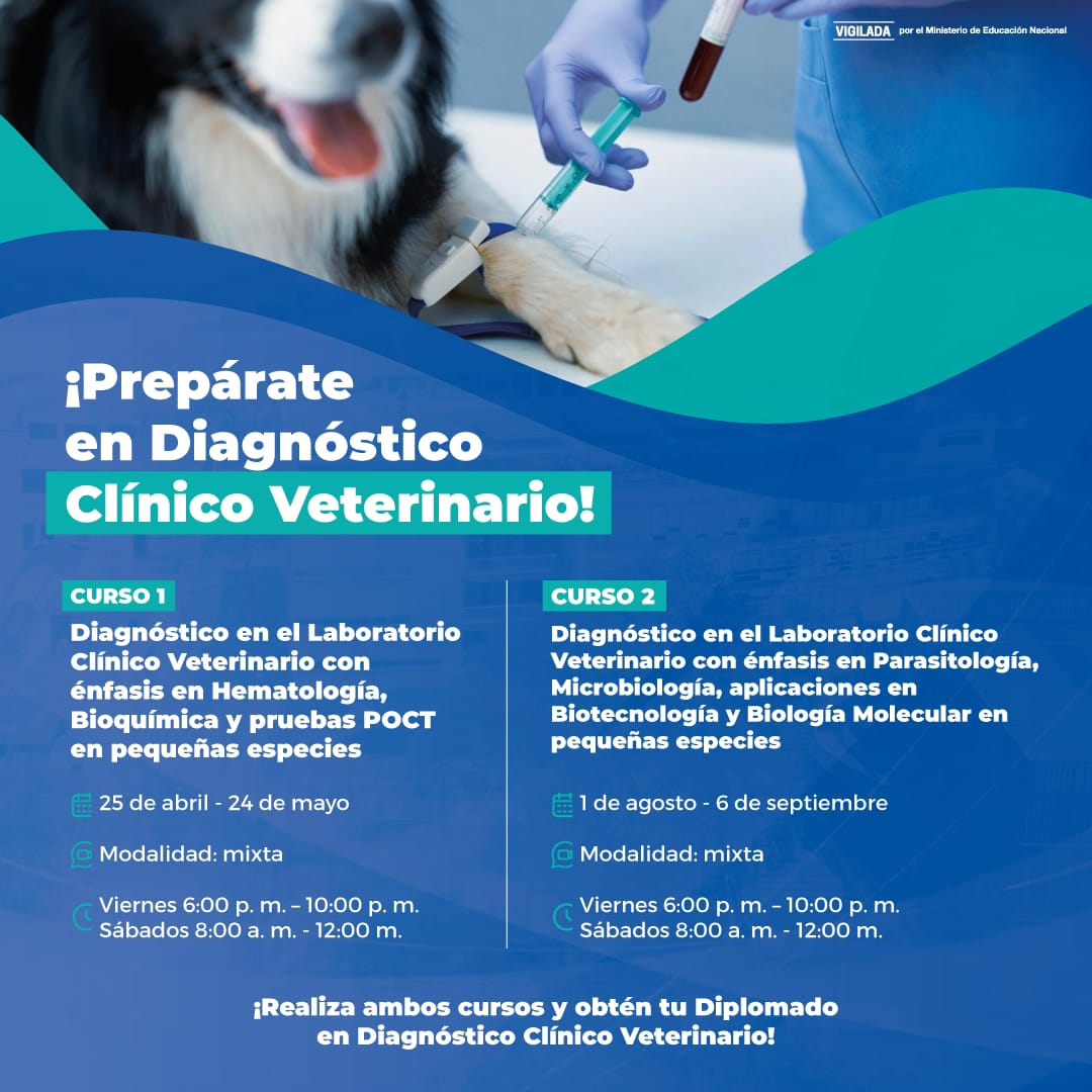 Curso Diagnóstico en el laboratorio clínico veterinario con énfasis en hematología, bioquímica y pruebas POCT en pequeñas especies