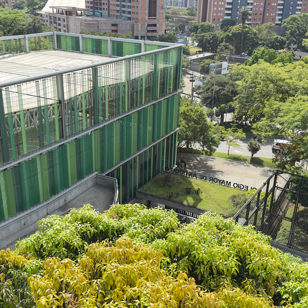 Colmayor brilla en ranking mundial que mide sostenibilidad de universidades