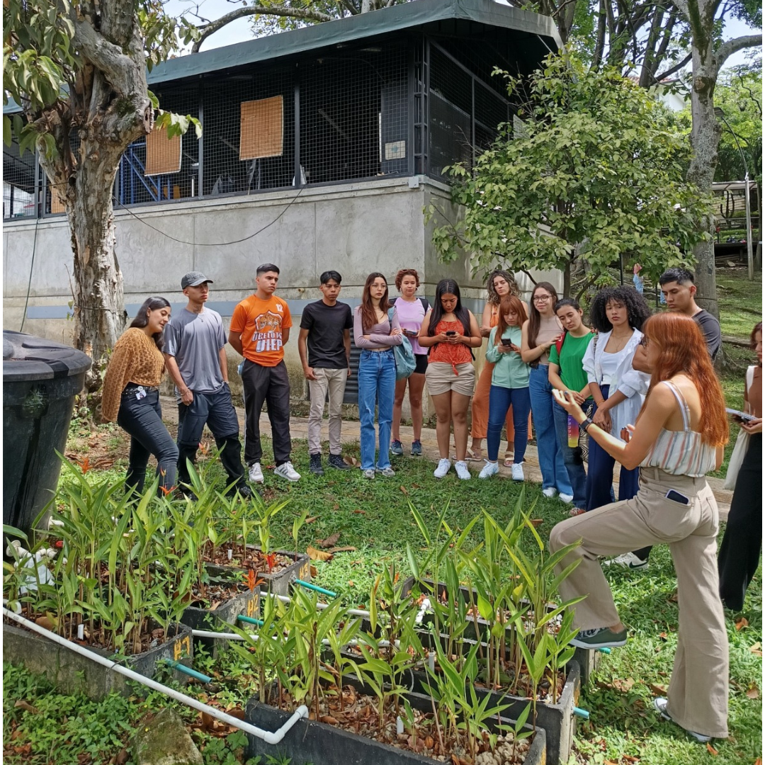 Recorridos de sostenibilidad, aprendizajes que transforman.