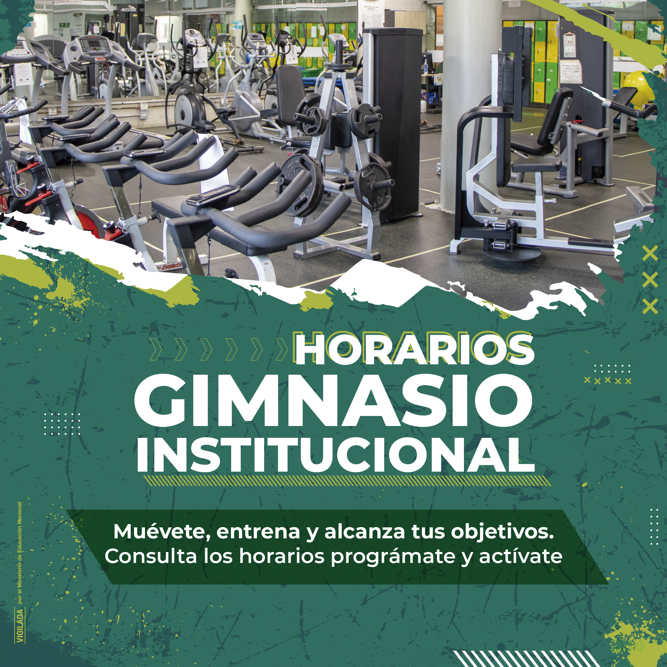 El movimiento comienza aquí: conoce los horarios y actividades del gimnasio para el semestre 2026-2