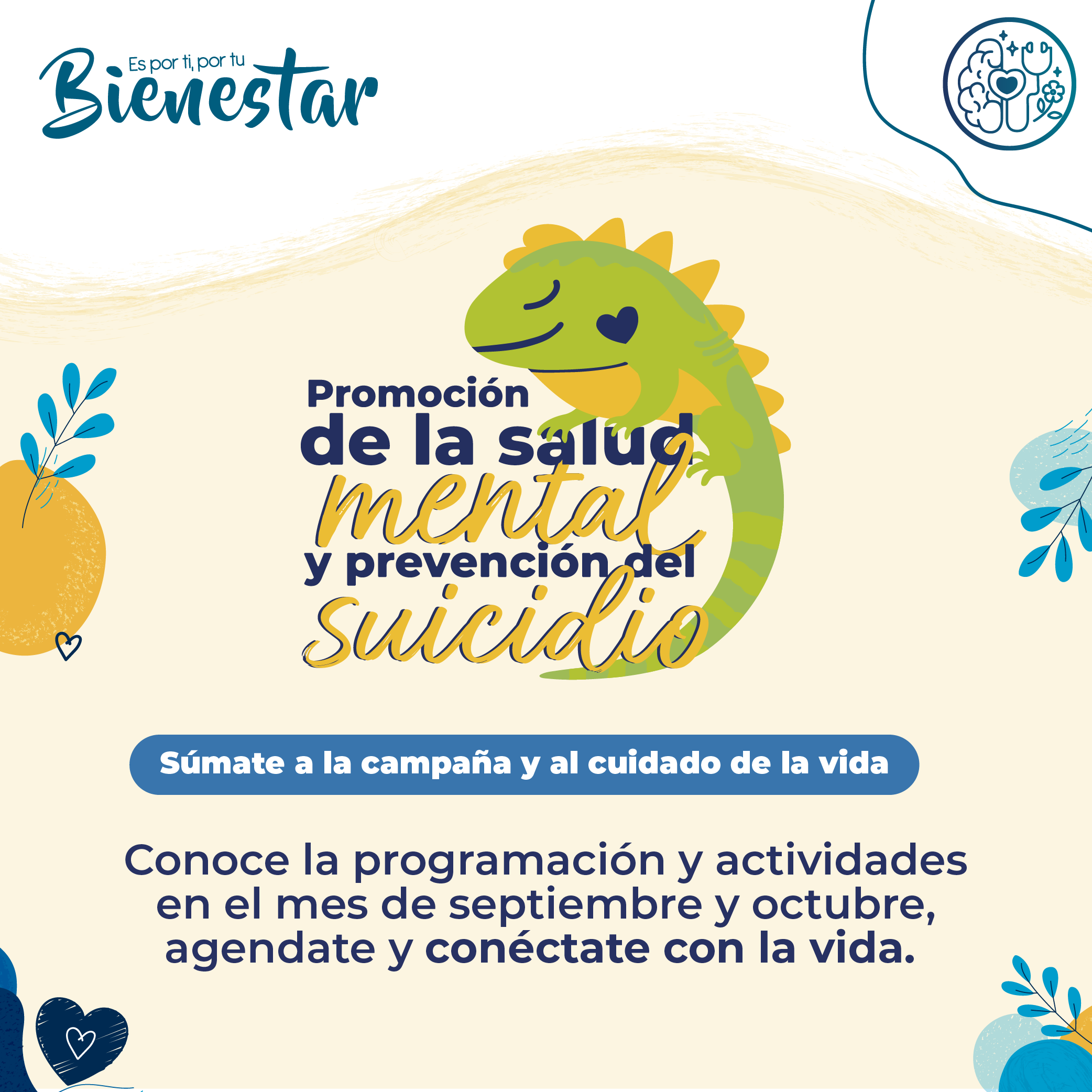Conéctate con la vida, una programación para cuidar, escuchar y compartir